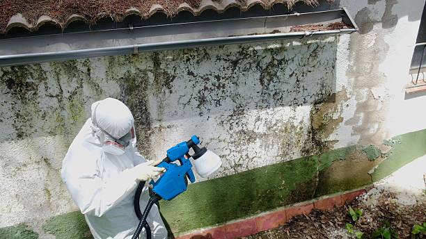 Trusted Mold Removal service in Nashville, NC - Cheap Mold Removal